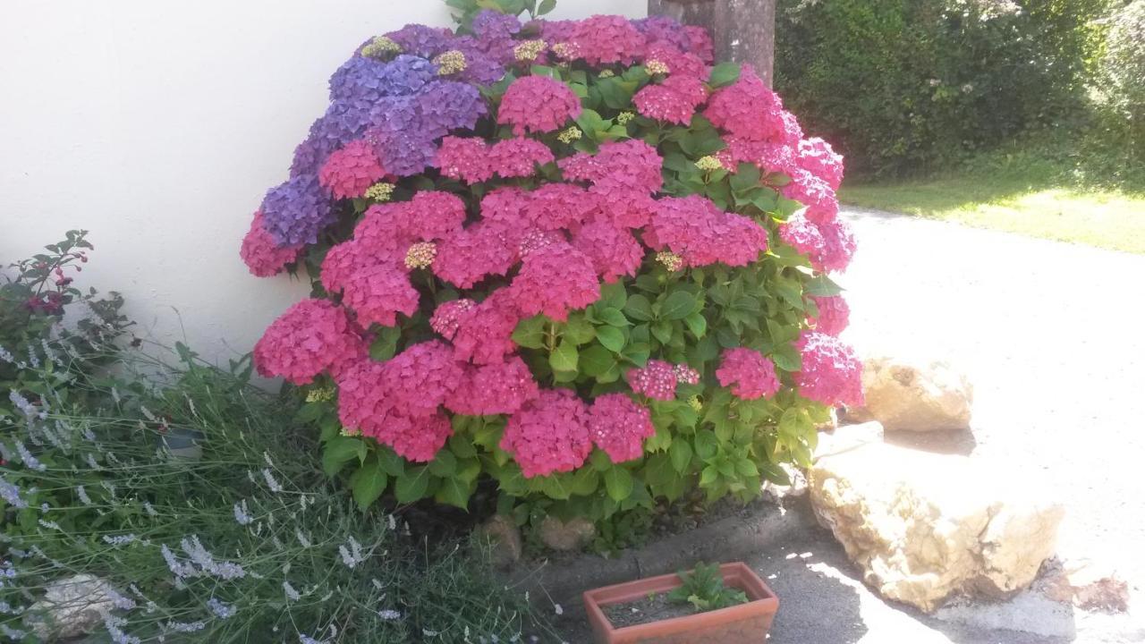 Rose View Cottage Le Cambout 외부 사진