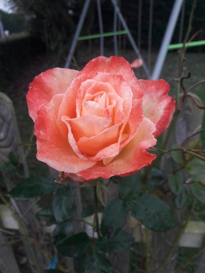 Rose View Cottage Le Cambout 외부 사진